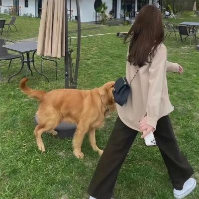 比翼文鸳
